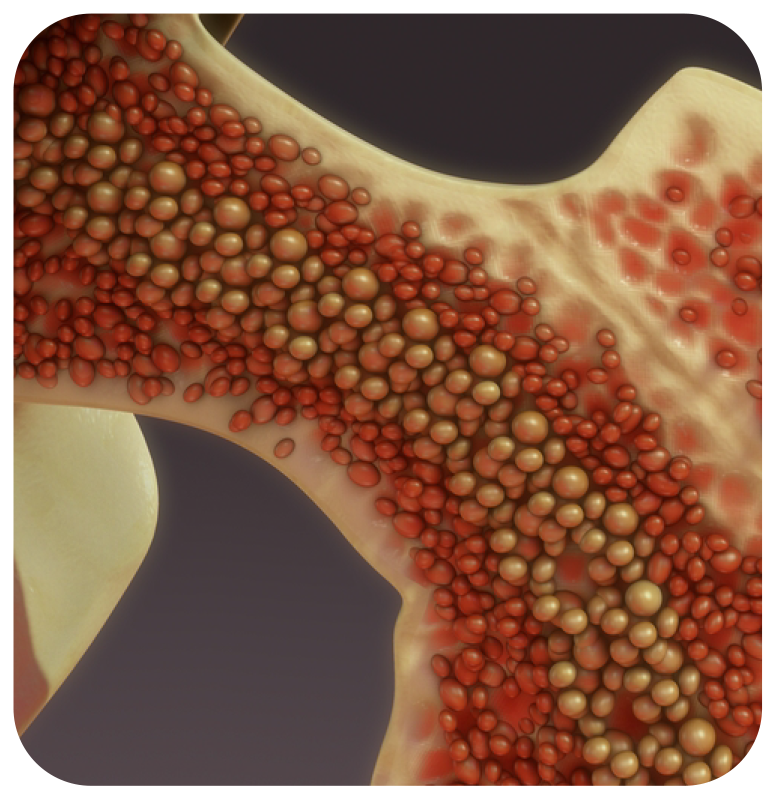 treatments-bmc